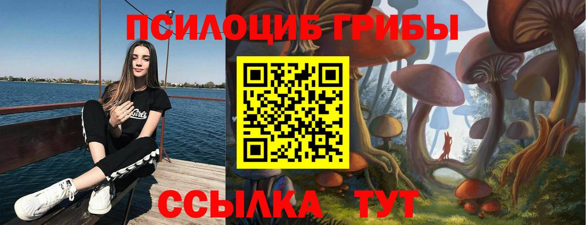 Галлюциногенные грибы Cubensis Кинешма