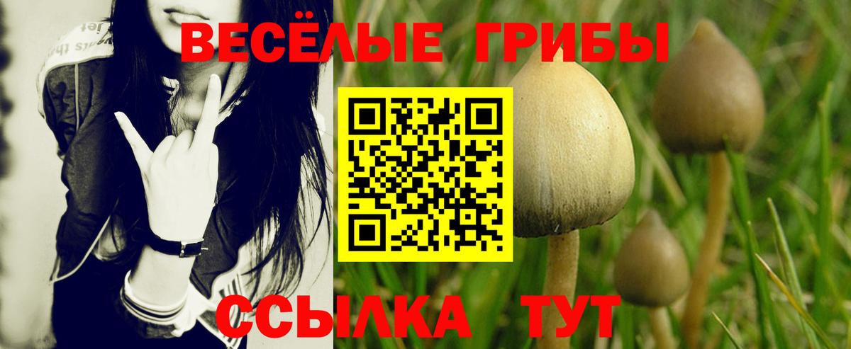 Кинешма  Псилоцибиновые грибы Magic Shrooms  Вход с VPN  Галлюциногенные грибы Magic Shrooms 